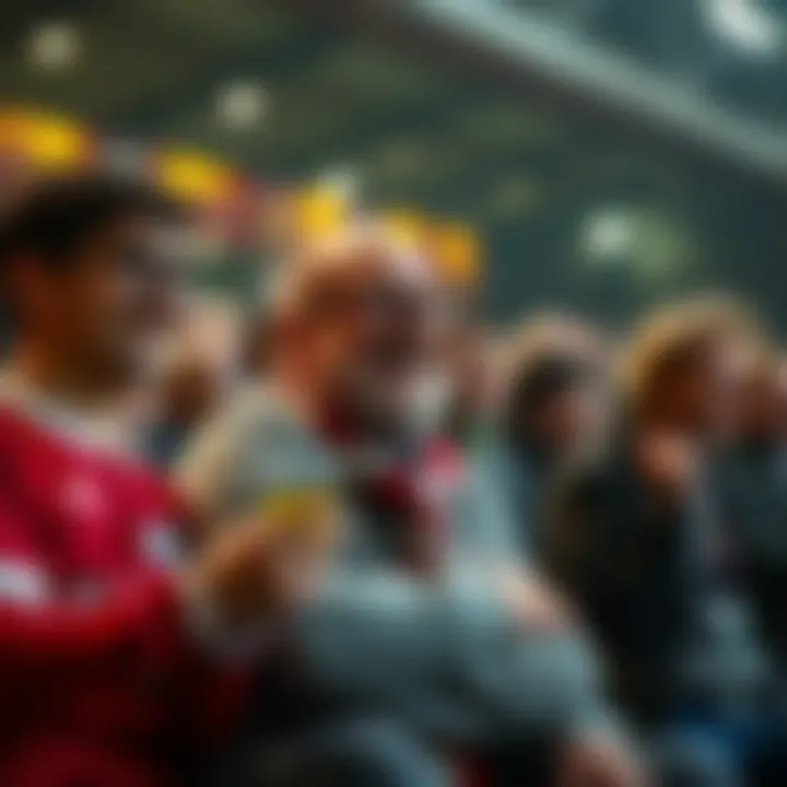 Fans Enjoying Premier League