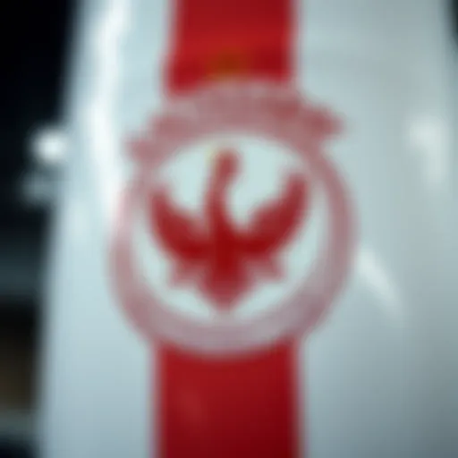 Galatasaray football club emblem