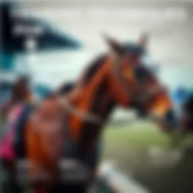 A detailed infographic illustrating horse training techniques