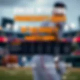 An engaging infographic illustrating the basics of online baseball betting.