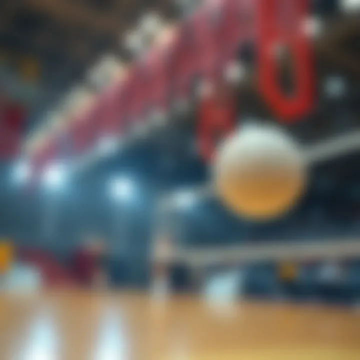 Understanding the basic rules of volleyball